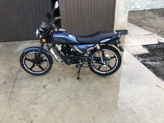 Wolf Motors Senke 14-150