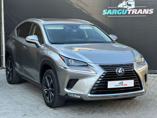 Lexus NX Series