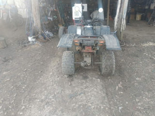 Viper ATV foto 2