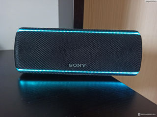 Sony xb31