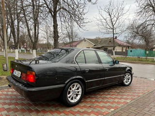 BMW 5 Series foto 5