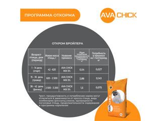 Premix pentru îngrășarea păsărilor de apă AVA CHICK MIX 5%. Sac 25kg foto 2