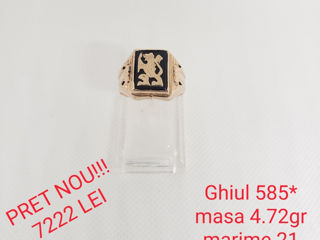 Ghiul 585* foto 1