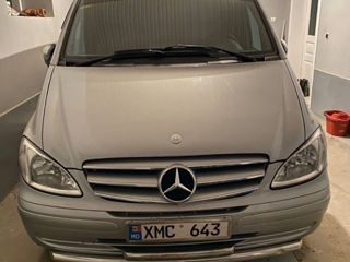 Mercedes Viano