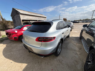 Porsche Macan foto 5