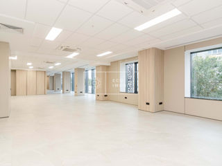 Oficiu, chirie, Business Centru UBC, 1960 m.p, 52920€ foto 11