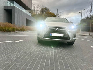 Lexus NX Series