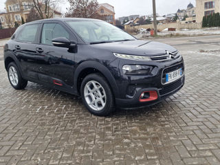 Citroen C4 Cactus foto 11