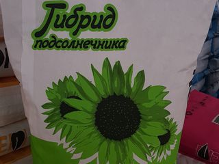 Гибриды подсолнечника: Дрофа,ТГР 8,Чентросол,Рубисол,Ориосол,Фортуна Кл,Регина Кл,ТГР 21 и др. foto 2