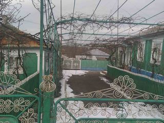 Se vinde casă în satul Cernoleuca r. Dondușeni