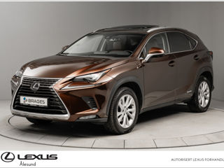 Lexus NX Series