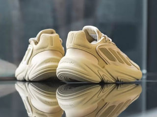 Adidas Ozelia Beige foto 7