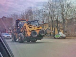 Compactor, basculanta, excavator, bobcat. foto 8