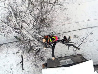 Defrisarea copacelor la inaltime.Alpinist.Moldova.Распиловка cложных деревьев!Альпинист! foto 5