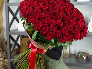 101 trandafiri de la 749 mdl livrare flori 101 роза от 749 лей доставка цветов flowers delivery foto 4