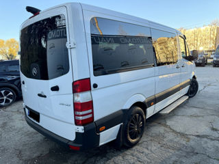 Mercedes Sprinter 9 locuri foto 4