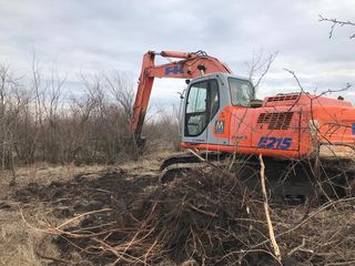 Плантаж, раскорчевка сада  и виноградников foto 19