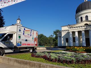 Грузоперевозки и Грузчики по Кишиневу и Молдове/ Transport de marfuri/ Hamali operativi foto 5