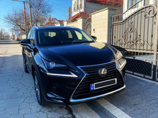 Lexus NX Series