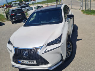 Lexus NX Series