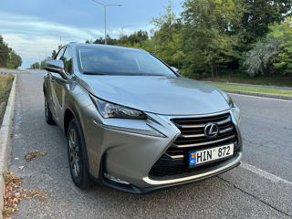 Lexus NX Series