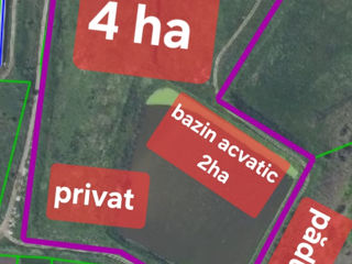 4ha  iaz privatizat, lingă  pădure  in localitate foto 3