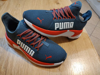 Puma foto 2