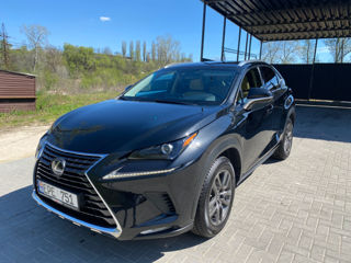 Lexus NX Series