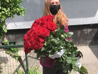 Роза   по доступным ценам foto 9