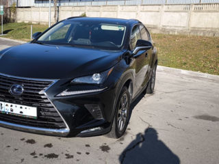 Lexus NX Series foto 4