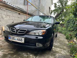 Nissan Primera foto 2