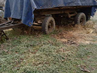 Vind urgent pritep și tractor foto 2