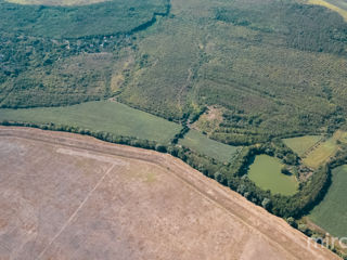 Se vinde teren agricol în or. Vadul lui Vodă! foto 4