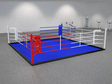 спортивное оборудование, борцовские ковры, спортивные маты, боксёрские ринги foto 5