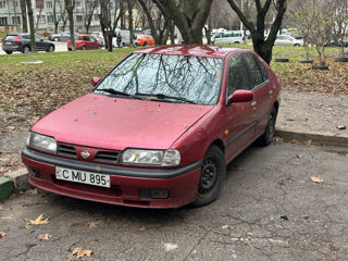 Nissan Primera foto 8