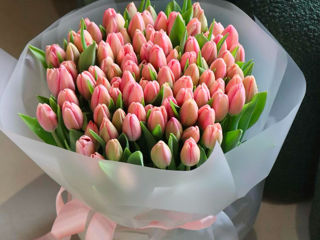 Lalele la pret angro! Livrare flori Тюльпаны оптом и в букете!Доставка цветов Tulips delivery flower foto 8