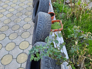 Anvelope   265/60  r18 kumho foto 6