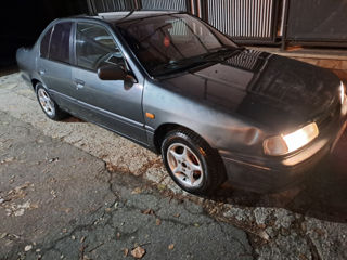 Nissan Primera foto 2