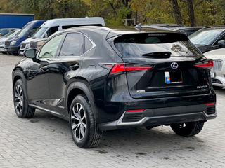 Lexus NX Series foto 5