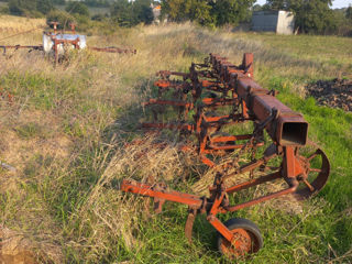 cultivator. foto 2