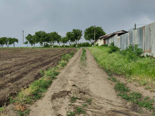 R.Ialoveni, s. Pojăreni foto 5