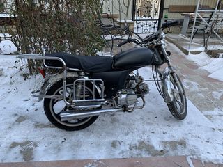 Alpha Moto R50 foto 3