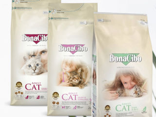 Bonacibo - корм супер-премиум класса для кошек и котят