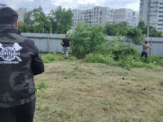 Servicii de curățare și întreținere a terenurilor foto 12