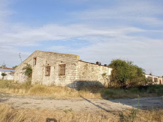 Oferim in chirie spatiu, 1695.6 m2 in or. Floresti ( distanta de 1 km de la traseu principal) foto 7