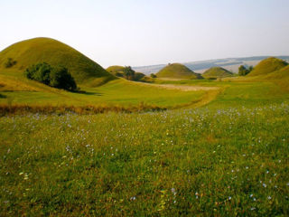 Excursie in Rezervatia Naturala Padurea Domneasca(Zimbraria+Suta de movile) – 450 lei/pers, zilnic foto 5