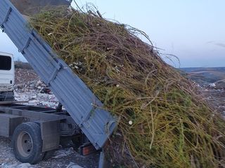 Evacuăm orice tipuri de gunoi. Hamali + Bobcat.!!!!! foto 2