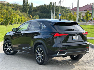 Lexus NX Series foto 4