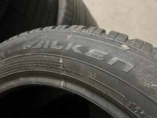 R18 215/55 Falken EuroWinter foto 4