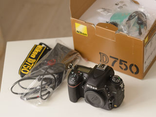 Nikon D750 - 10/10 - ca nou foto 3